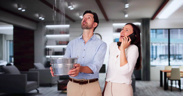 Best Mold removal after water damage  in Akron, NY